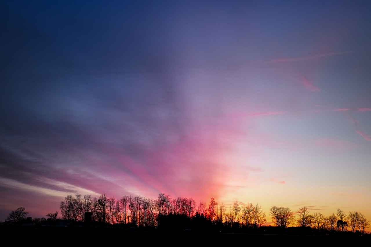 Akıllı Ev Sistemleri ile Senkronize Olabilen Robot Süpürgeler Akıllı Ev Sistemleri ile Senkronize Olabilen Robot Süpürgeler