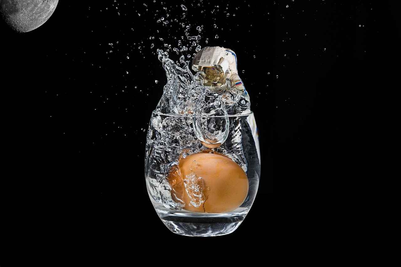 Çok Fonksiyonlu Robot Süpürgeler ile Süpürme ve Paspaslama Bir Arada Çok Fonksiyonlu Robot Süpürgeler ile Süpürme ve Paspaslama Bir Arada