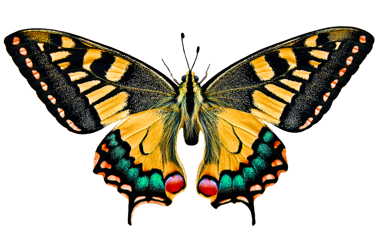 Merdiven algılama ve düşme önleme sensörleri nasıl çalışır? Merdiven algılama ve düşme önleme sensörleri nasıl çalışır?